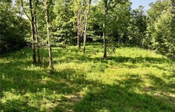 0 Jeffries Rd, Richland, MO 65556