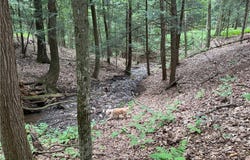 Winton Road, Columbus, NY 13460