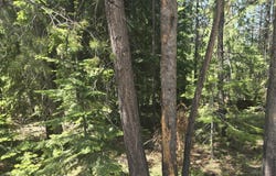 26 Diamond Peak Drive, Crescent Lake, OR 97733