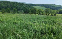 Hubbard Hill Road, Maryland, NY 12116