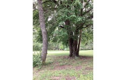 TBD Bert Street, Mena, AR 71953