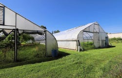 1023 E Princeton Avenue, Flint, MI 48505