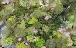 405 YAUPON Drive, Mandeville, LA 70471