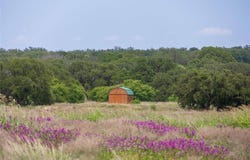Tbd County Road 189, Mullin, TX 76864
