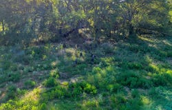 15305 CR136, Gordon, TX 76453