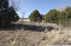 E Highway 180, Santa Clara, NM 88026