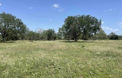 Tbd Farm to Market Rd 10.68, Marble Falls, TX 78654