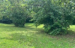 TBD  W 7th  ST, Fayetteville, AR 72701