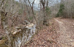 001-06078-001 Onwata  LN, Yellville, AR 72687