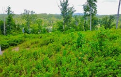 16 Mystic Drive, Ellijay, GA 30540