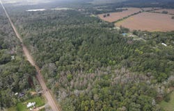 Ms-35, Forest, MS 39074