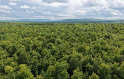 M3L11 Route 212, Merrill, ME 04780
