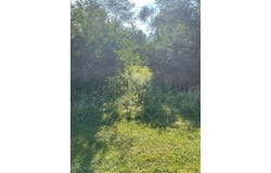 Brecksville Road, Independence, OH 44131