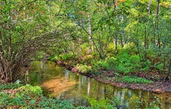 6473 Blue Star Highway, Saugatuck, MI 49453