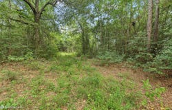 0 Yankee Town Road, Saucier, MS 39574