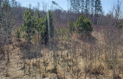 Tbd 513th Ave E, Tract E, Ottertail, MN 56571
