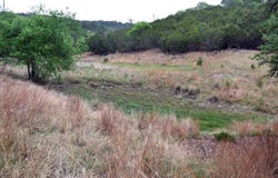 1700 Primrose, Kerrville, TX 78028