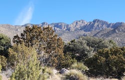 47 Rock Drive NE, Albuquerque, NM 87122