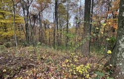 ROHR Road, Masontown, WV 26542