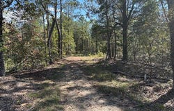 TBD Firetower Road, Camden, TN 38320