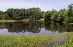6070 State Highway Cc, Niangua, MO 65713