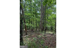 ALUM SPRINGS ROAD, EDINBURG, VA 22824