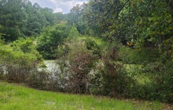 126 Rattlensnake Trail, Walterboro, SC 29488