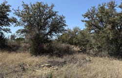 N/A Wayland Ranches, Breckenridge, TX 76424