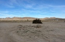 No Name, Joshua Tree, CA 92252