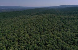 FS RD 795, Bluffton, AR 72827