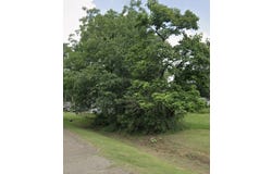 2202 E Avenue B, Hooks, TX 75561