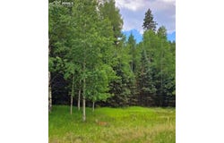 662 Spring Valley Lane, Florissant, CO 80816