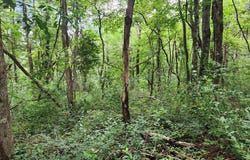 Tbd Hickory Hollow Ln, Copper Hill, VA 24079