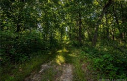 Beechnut, Stover, MO 65078