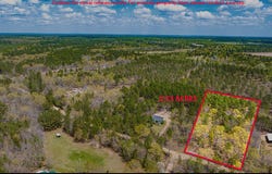 Lot 4 Bluffwood Road, Wagener, SC 29164