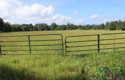 19762 FM 2208, Harleton, TX 75651