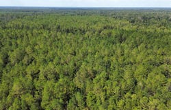 Tbd Golden St, Killian, LA 70462