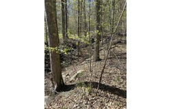 14 Hawk Mountain Drive, Sparrowbush, NY 12780