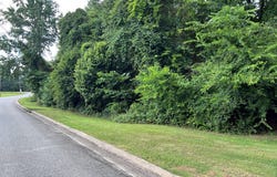 Georgetown, GA 39854
