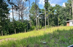 813 Wiregrass Road, Hamlet, NC 28345