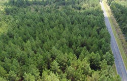 0 Salem Rd, Turbeville, SC 29051
