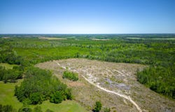 Tract 1 Scuffletown, Bristol, GA 31518