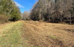 00 Off Roan Creek Road, Butler, TN 37640