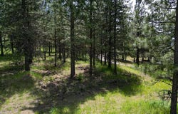 Xxxxxx Custer Ln, Spokane, WA 99223