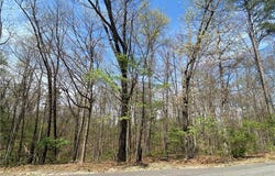 Lot 5 Fowey  LN, Bella Vista, AR 72714