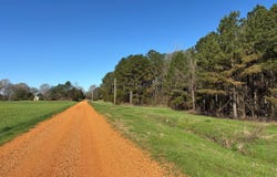 0 County Road 151, Okolona, MS 38860