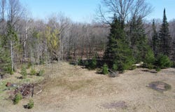 12161 N BRANCH Road, SURING, WI 54174
