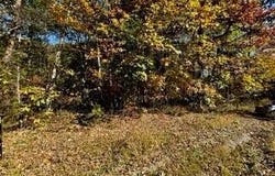 Lot 46 Honey Springs Rd, Crawford, TN 38554
