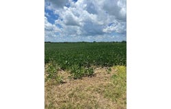 2000 County Road, Varna, IL 61375