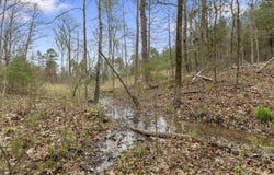2482 Old Douglass Road, Winnsboro, SC 29180-7799